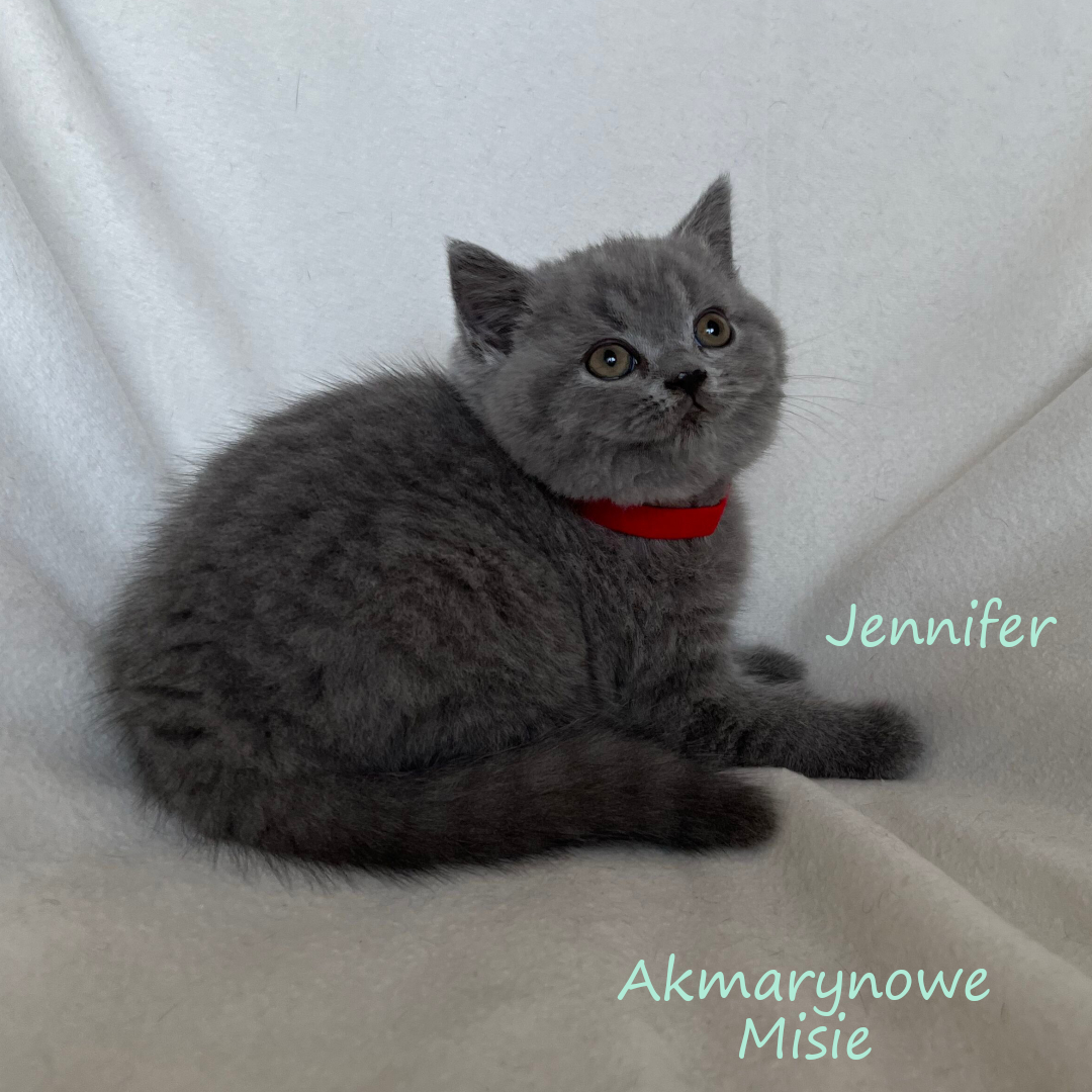 Jennifer miot j